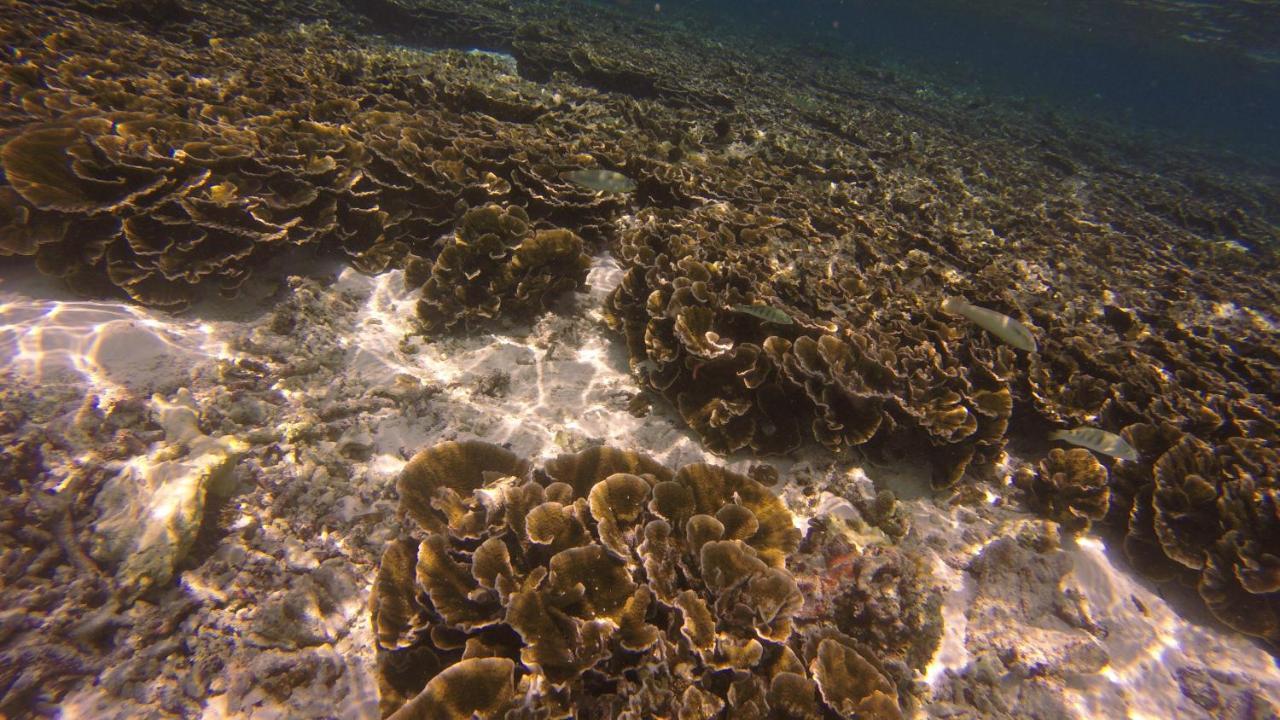 Kaafu Inn Guraidhoo Экстерьер фото