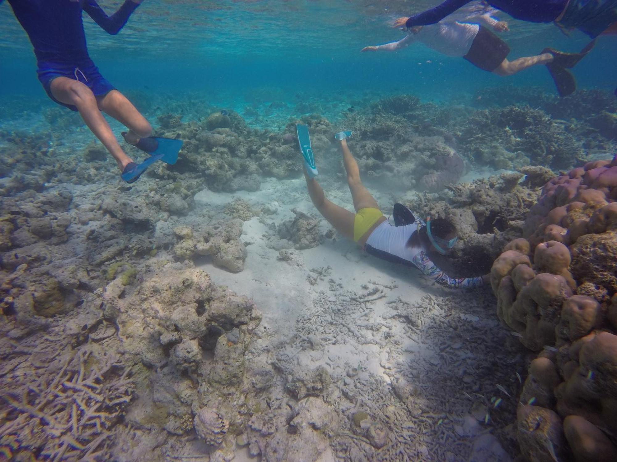 Kaafu Inn Guraidhoo Экстерьер фото
