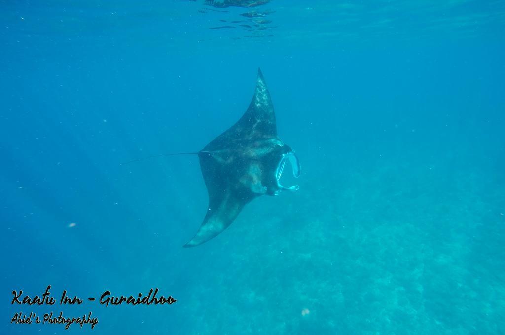 Kaafu Inn Guraidhoo Экстерьер фото